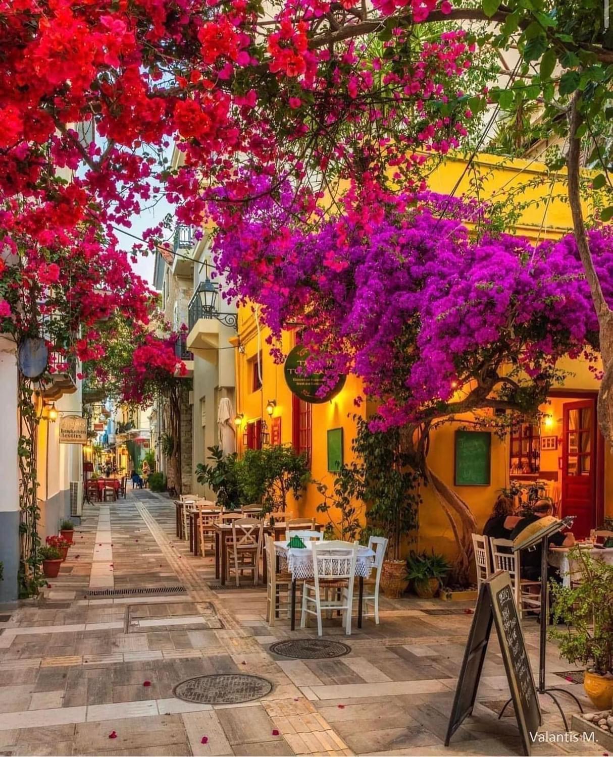 Villa Artemis Nafplion Toló Kültér fotó