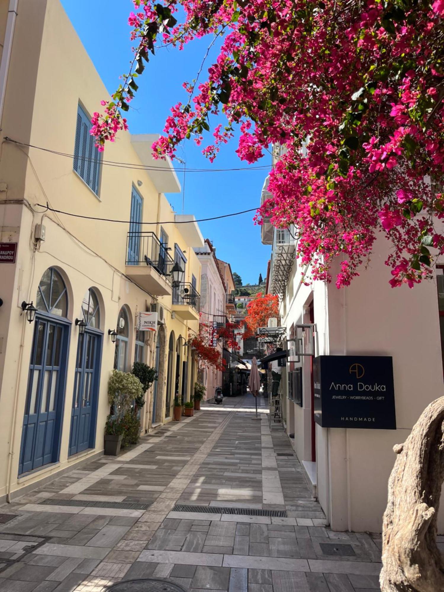 Villa Artemis Nafplion Toló Kültér fotó